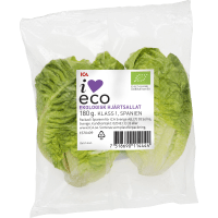 Illustration av Hjärtsallad Eko