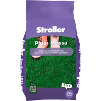 Illustration av Stroller Plus + Mossa