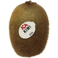 Illustration av Stor grön kiwi