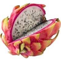 Illustration av Pitahaya röd