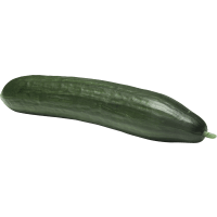 Illustration av Gurka styck SE