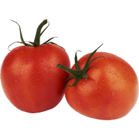 Illustration av Tomat lösa