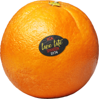 Illustration av Apelsin Lane late ca 310g Klass 1