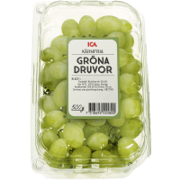 Illustration av Druvor Thompson Seedless Gröna kärnfria Klass 1