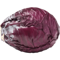 Illustration av Rödkål