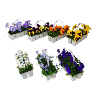 Illustration av Pensé 10p