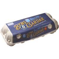 Illustration av Ägg 10-p M/L Dala-ägg