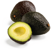 Illustration av Avokado