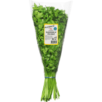 Illustration av Persilja