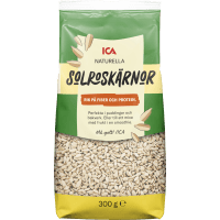 Illustration av Solroskärnor