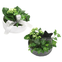 Illustration av Arr Vintertid