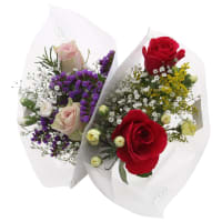 Illustration av Bukett Säsong PP