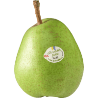 Illustration av Svenska Päron