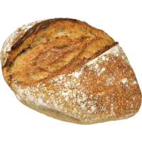 Illustration av Levainbröd