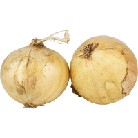 Illustration av Lök gul lv