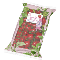 Illustration av Romanticatomater Rosa bandet Klass 1