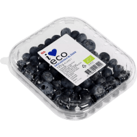 Illustration av Blåbär