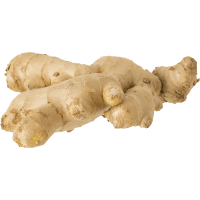 Illustration av Ingefära