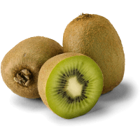 Illustration av Stor grön kiwi