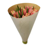 Illustration av Tulpaner dubbla lyx 12-p