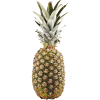 Illustration av Ananas Extra or ca 2,4kg Klass 1