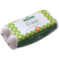 Illustration av 10 Pack Ägg