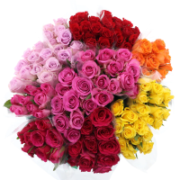 Illustration av Rosor 10-p 40 cm Fairtrade varierande färger