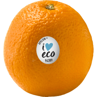 Illustration av Apelsin ICA Eko