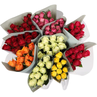 Illustration av Rosor 10pack mix 50cm Fairtrade