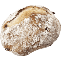 Illustration av Gourmet Tranbär