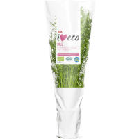 Illustration av Dill