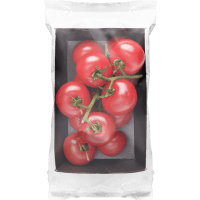 Illustration av Cocktailtomat