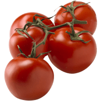 Illustration av Tomat kvist