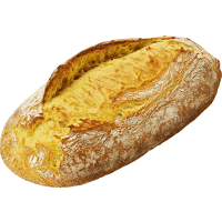 Illustration av Levain saffran