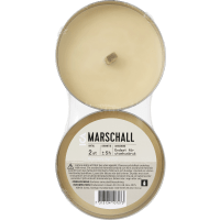 Illustration av Marschall silver