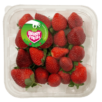 Illustration av Jordgubbar