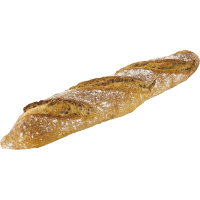 Illustration av Levain Baguette