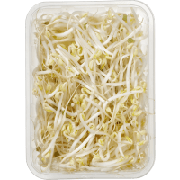 Illustration av Böngroddar