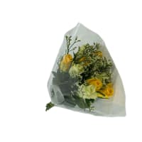 Illustration av Rosor m limonium