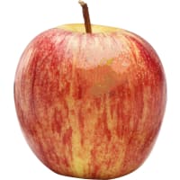 Illustration av Äpple Gala PL