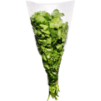 Illustration av Koriander Bunt