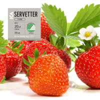 Illustration av Servett 33cm Jordgubbe