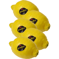 Illustration av Citroner