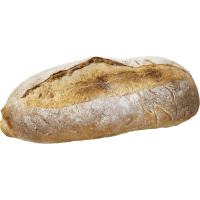 Illustration av Italienskt surdegs