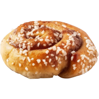 Illustration av Kanelsnäcka