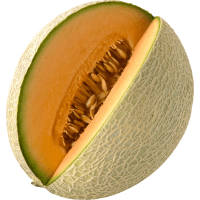 Illustration av Melon Cantaloupe.