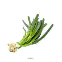 Illustration av Lök Sallad