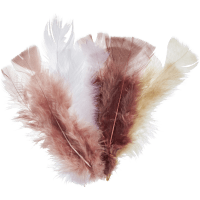 Illustration av Påskfjädrar