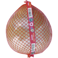 Illustration av Honungspomelo