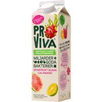 Illustration av Fruktdryck Drakfrukt Guava Calamansi 1000ml